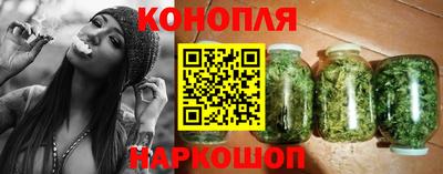 сатива Лесосибирск