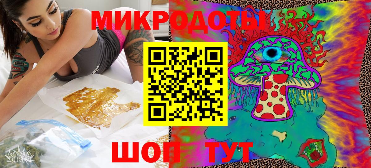 Заволжье  Псилоцибиновые грибы Psilocybe  Вход с VPN 