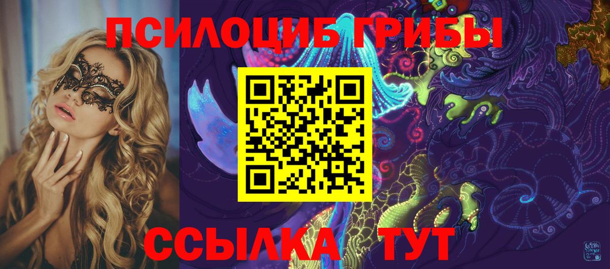 Галлюциногенные грибы Psilocybine cubensis Заволжье