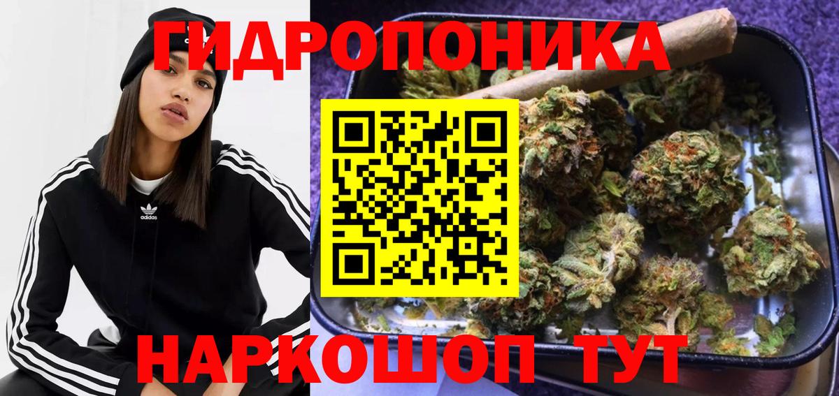Конопля SATIVA & INDICA  МАРИХУАНА OG Kush  Заволжье  Каннабис семена  Вход с VPN 